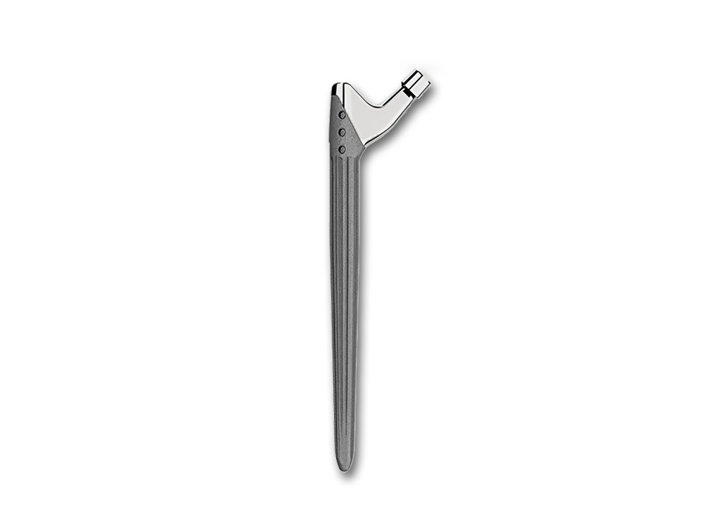 SPUSM T0-P Cementless Stem