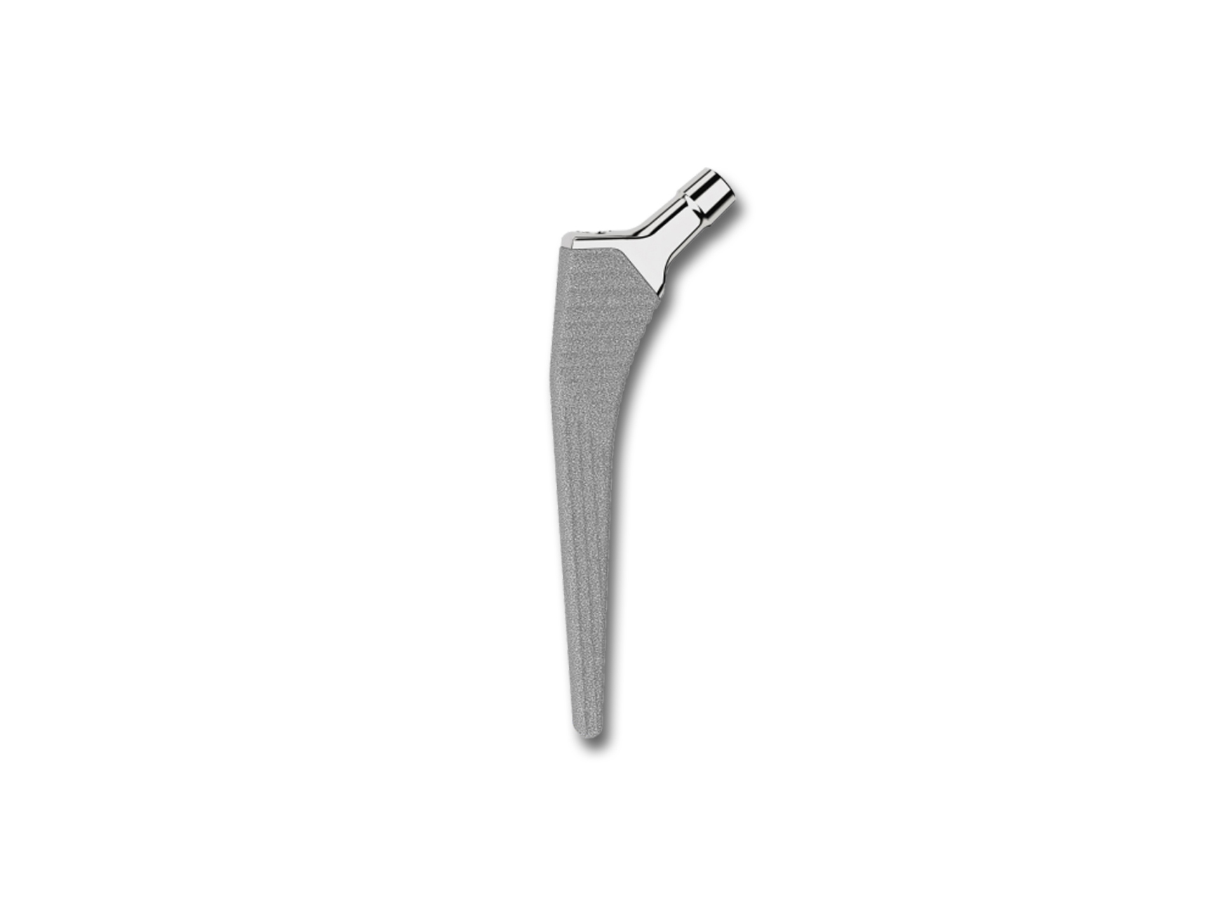 SPUSM T1-C Cementless Stem