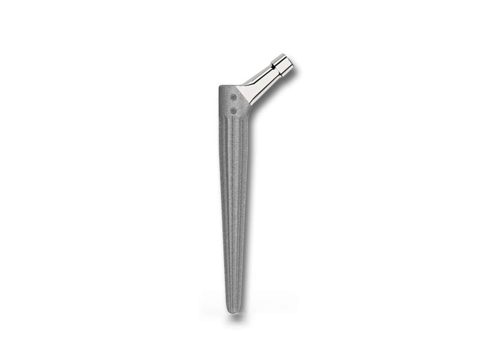 SPUSM T0-W-P2 Cementless Stem